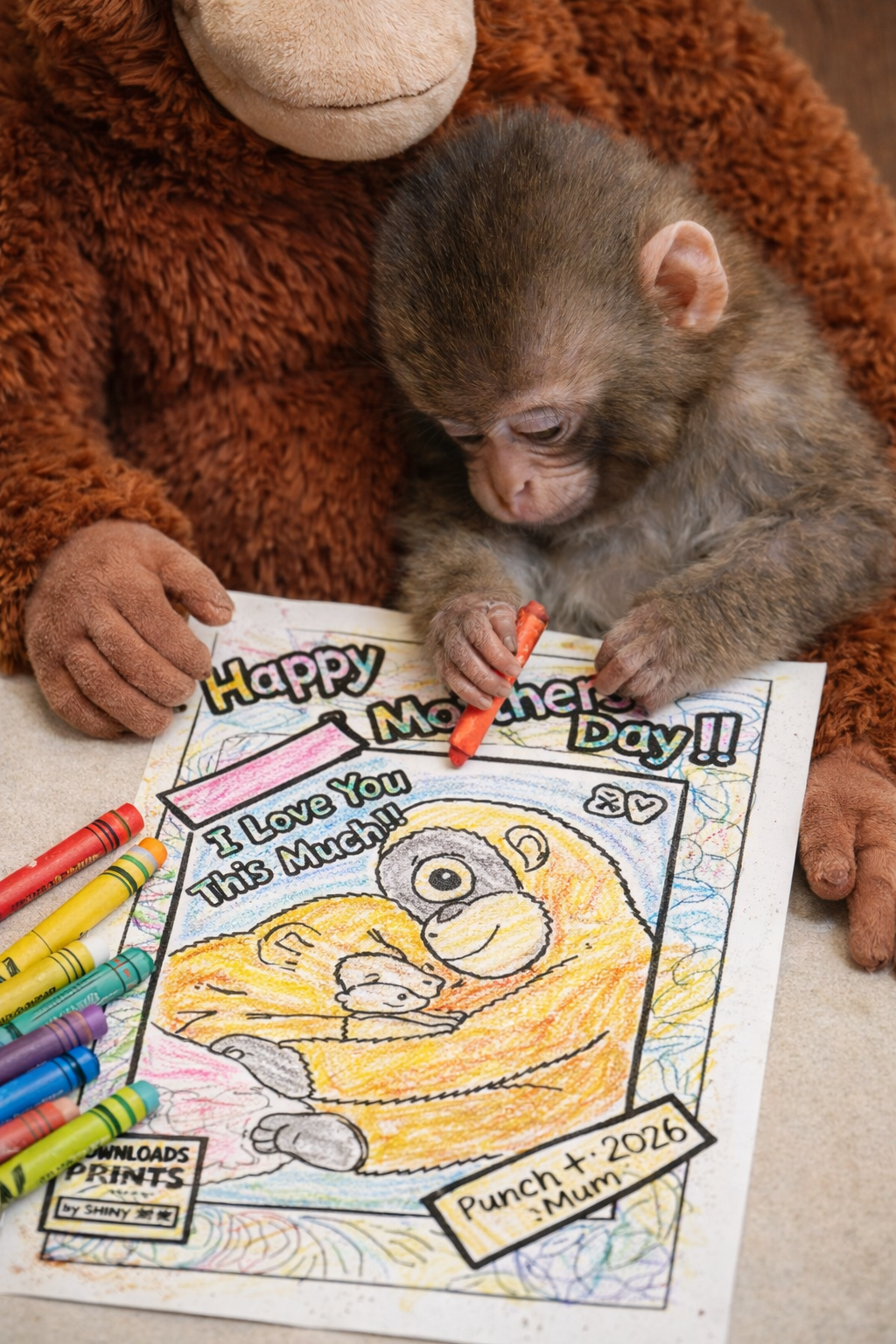 Punch The Viral Monkey Mothers Day Card