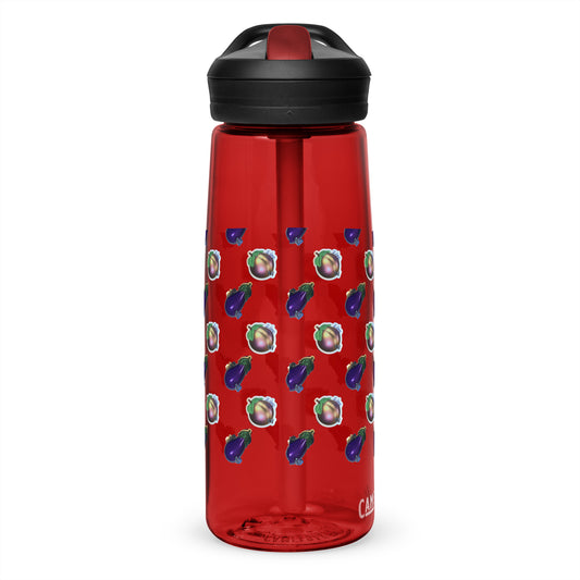 Sports water bottle